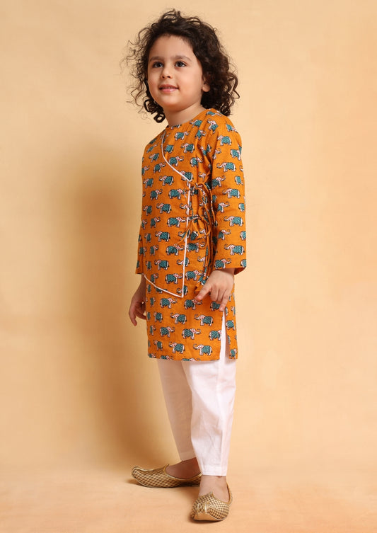 Tiny Tusker Kurta Set